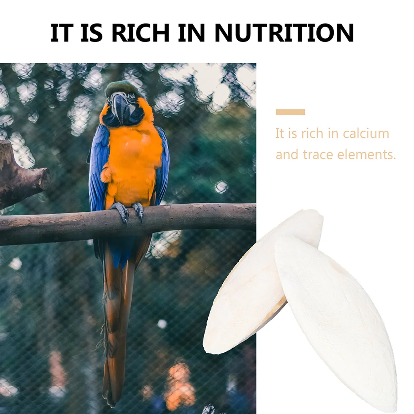 10pcs Cuttlebone Cuttlefish Sepia Bone Parrot Chewing Toy Bird Food Calcium Pick Stone Pet Parrots Hamster Bird Toy Accessories