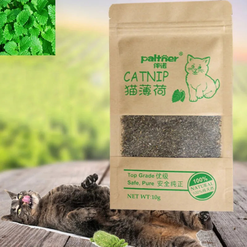 Natural Premium Catnip Cattle Grass Interactive Cat Non-toxic 10g Menthol Flavor Funny Cat Supplies Keep Pet Health Cat Toy