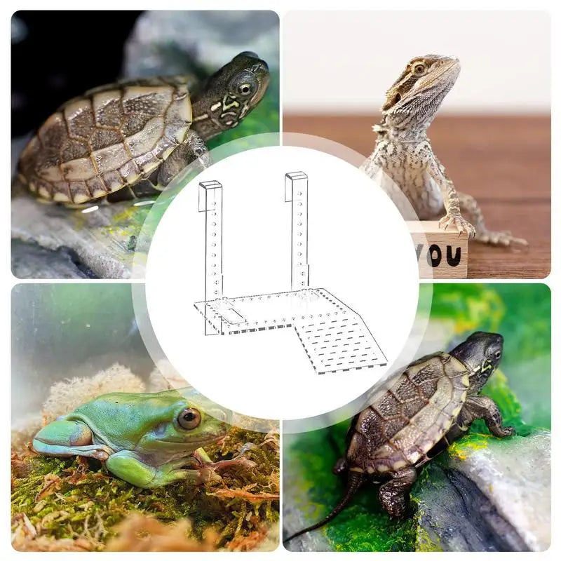 Turtle Basking Platform Acrylic Reptile Resting Terrace Hangable Turtle Drying Platform Turtle Terrarium Dock Tortoise Habitat