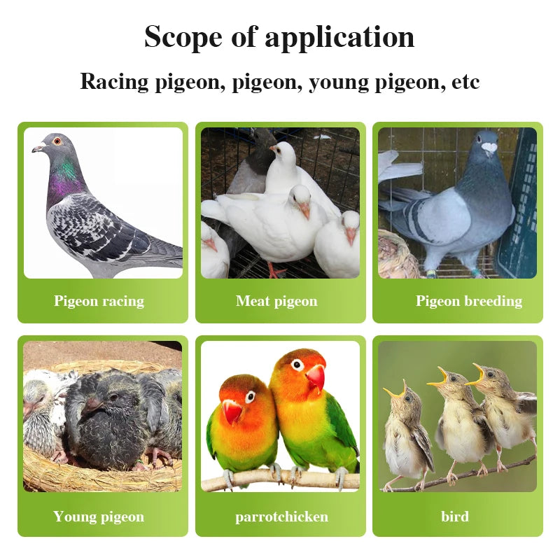 Racing pigeon carrier pigeon conditioning health care brood female pigeon laying eggs fertilization parrot birds 150 pieces