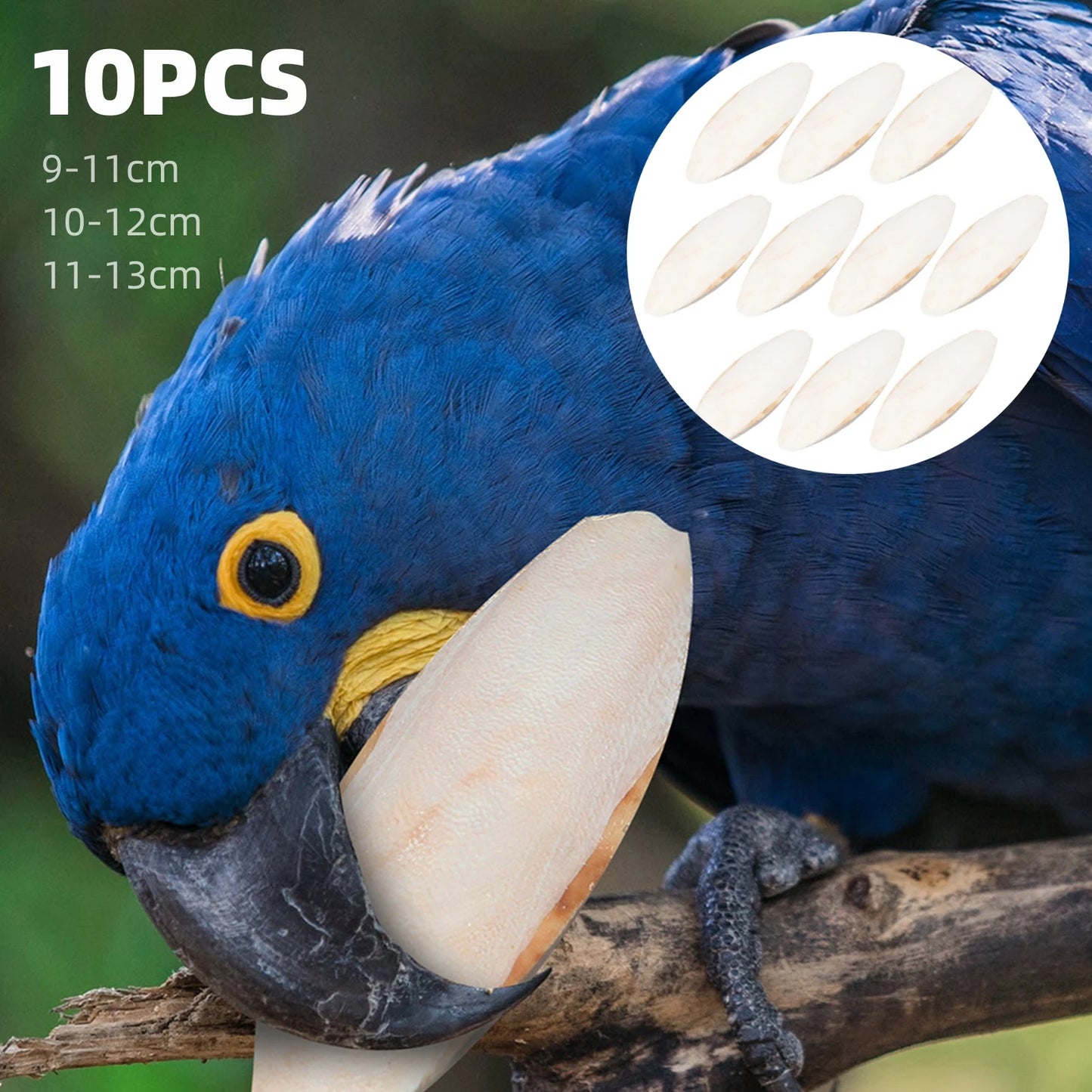 10pcs Cuttlebone Cuttlefish Sepia Bone Parrot Chewing Toy Bird Food Calcium Pick Stone Pet Parrots Hamster Bird Toy Accessories