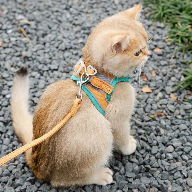 Adjustable Harness Leash Set for Pet, Outdoor Walking Leash for Kitten, Puppy, Small and Medium Dog