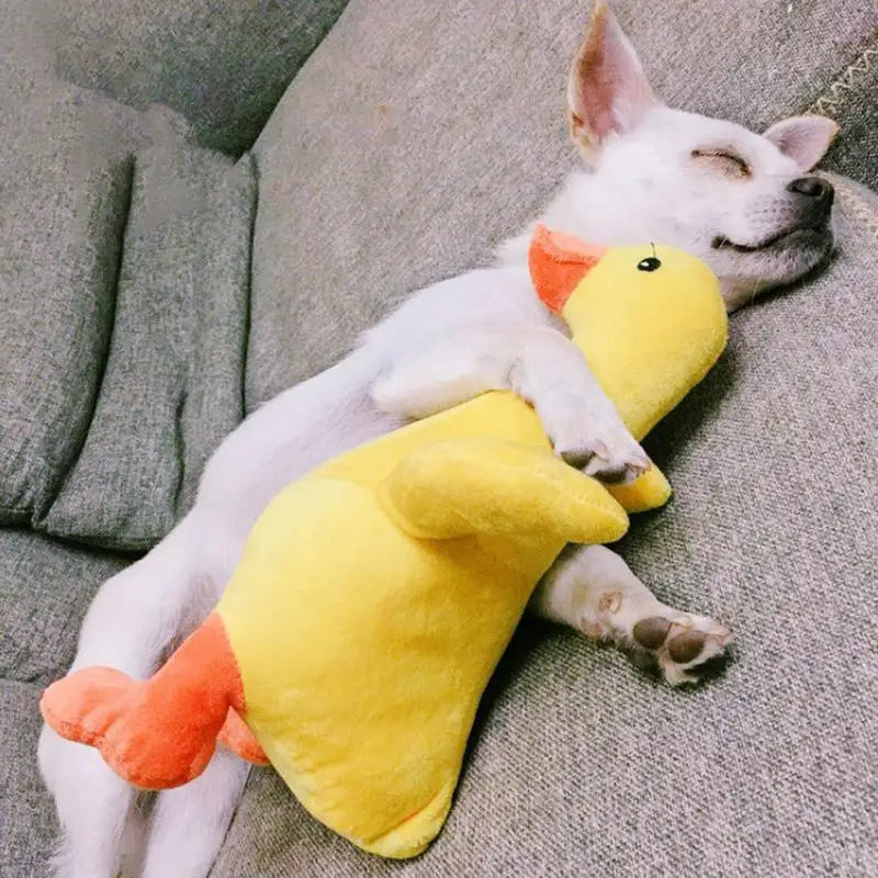 Dogs Chewing Ducks Dogs Bitting Chewing Squeezing Plush Ducks Dog Health Supplies For Happiness For Home Pet Shop Outing Camping