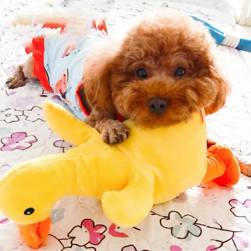 Dogs Chewing Ducks Dogs Bitting Chewing Squeezing Plush Ducks Dog Health Supplies For Happiness For Home Pet Shop Outing Camping